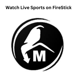 FireStick Sports Subscription